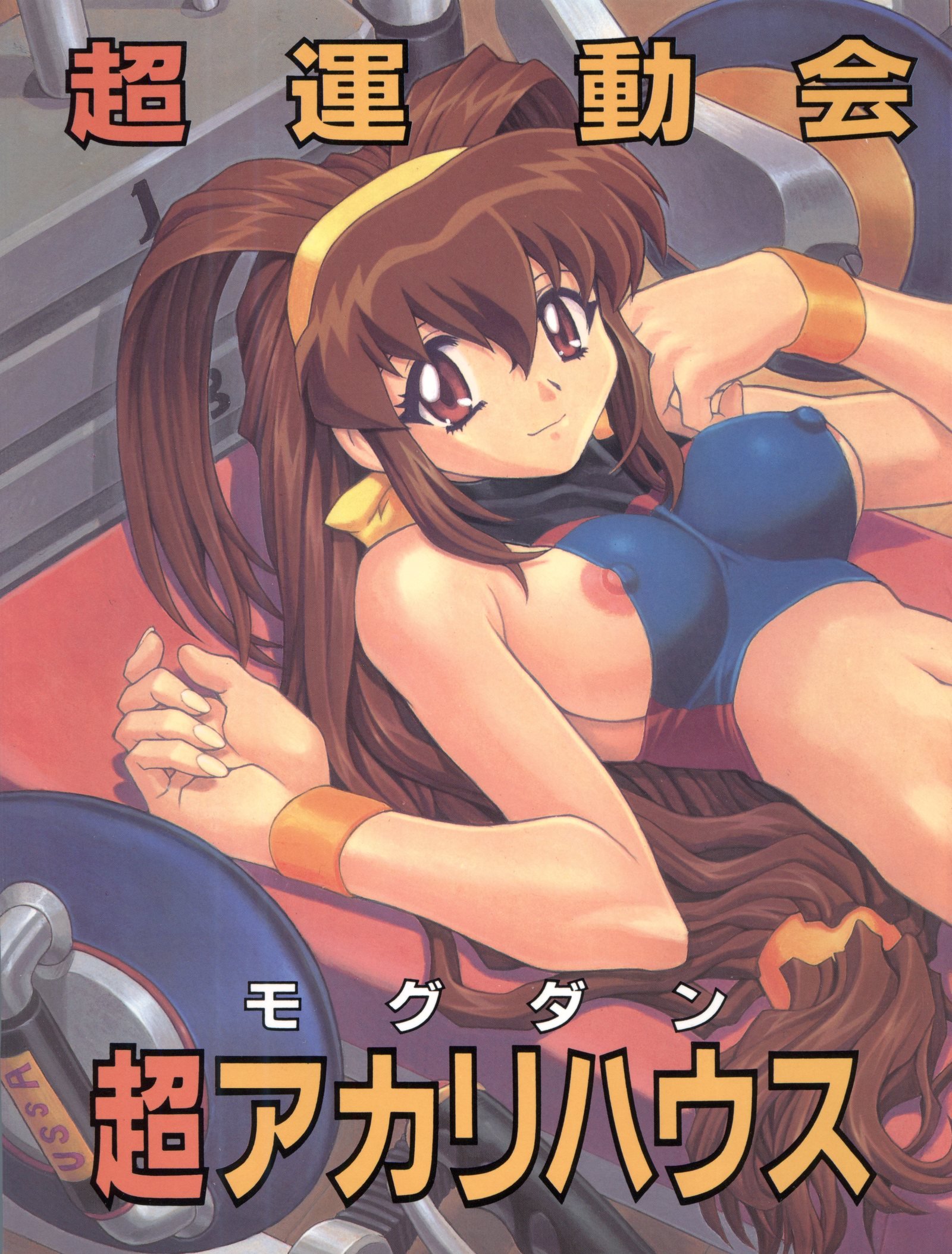 ちょううんどうかいちょあかりハウス