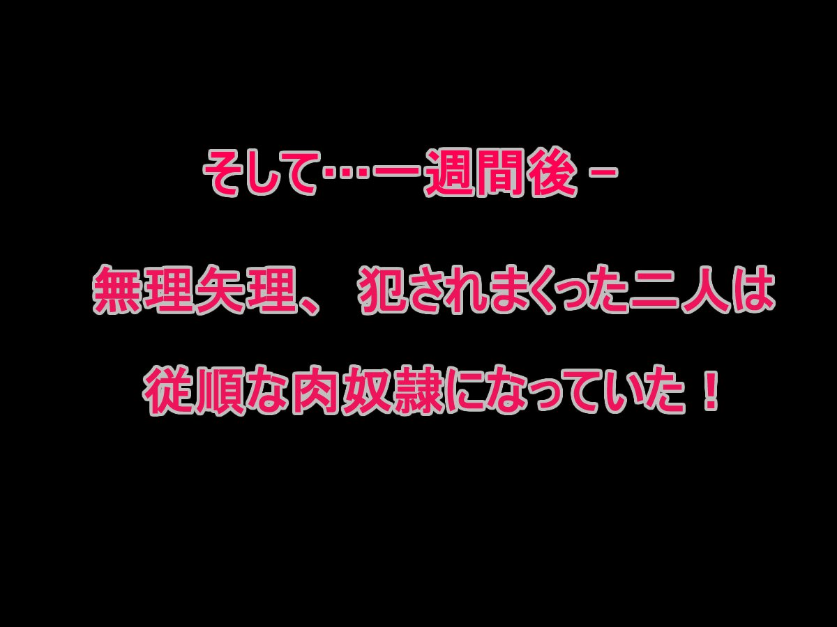 爆乳！爆乳！むりやりプレイ！