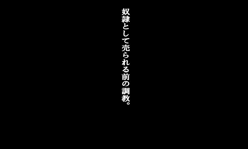 どれいはんばいしゅらく〜千五の日本〜