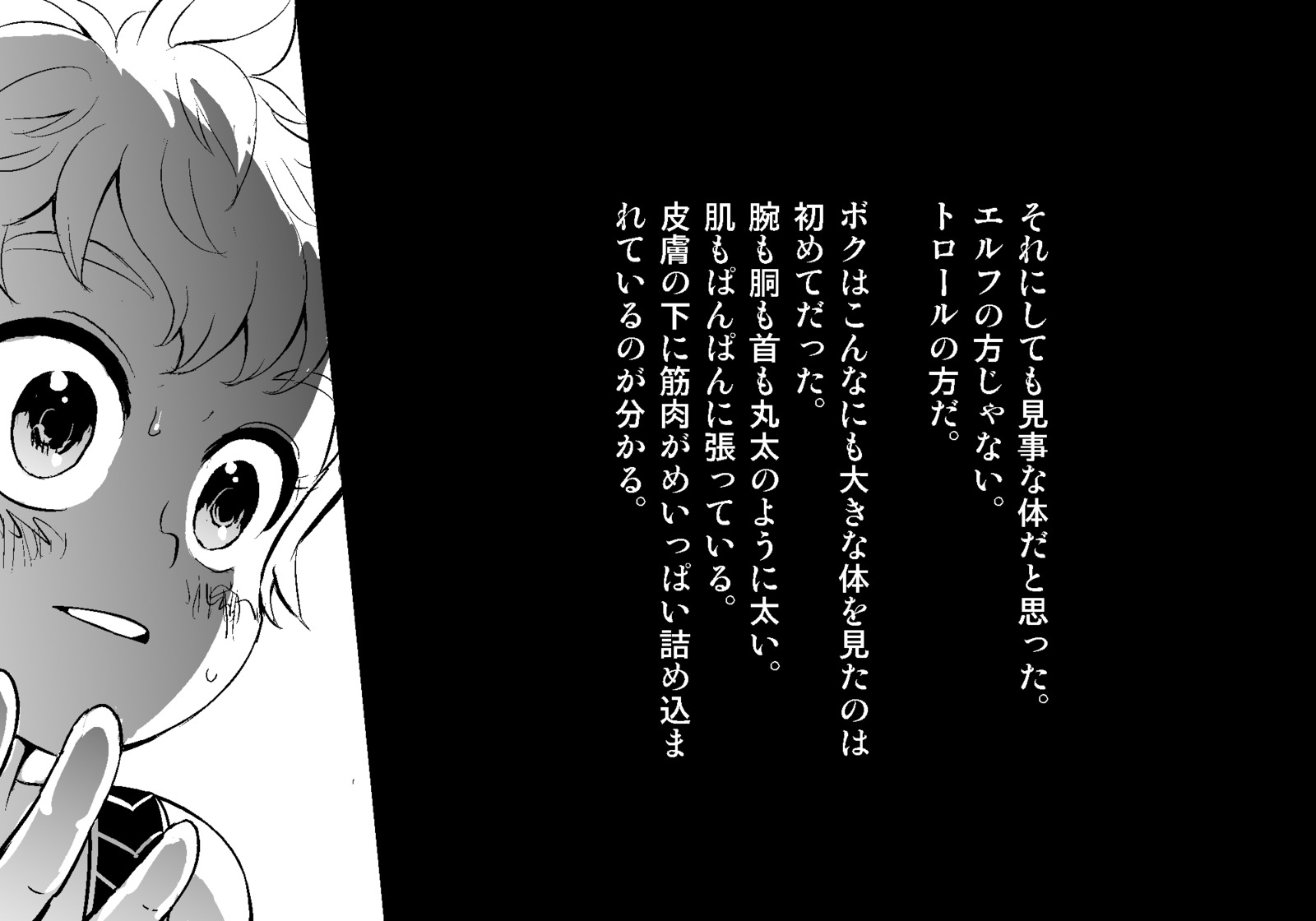 フェアリーセティ