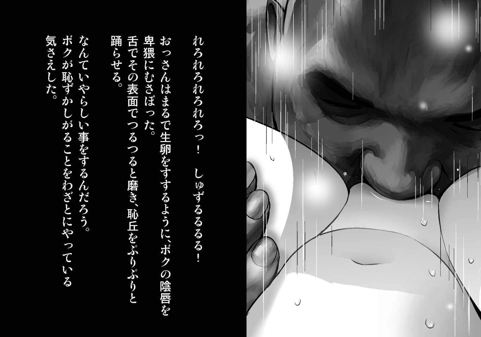 フェアリーセティ