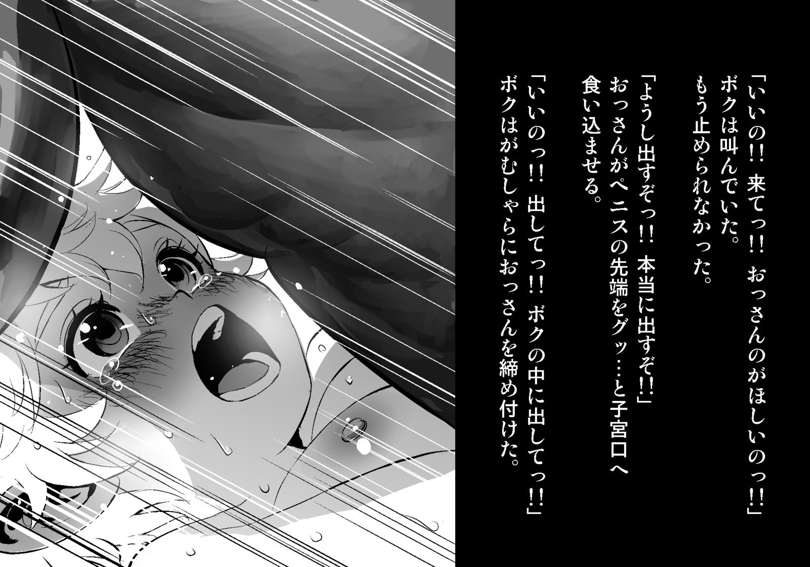 フェアリーセティ