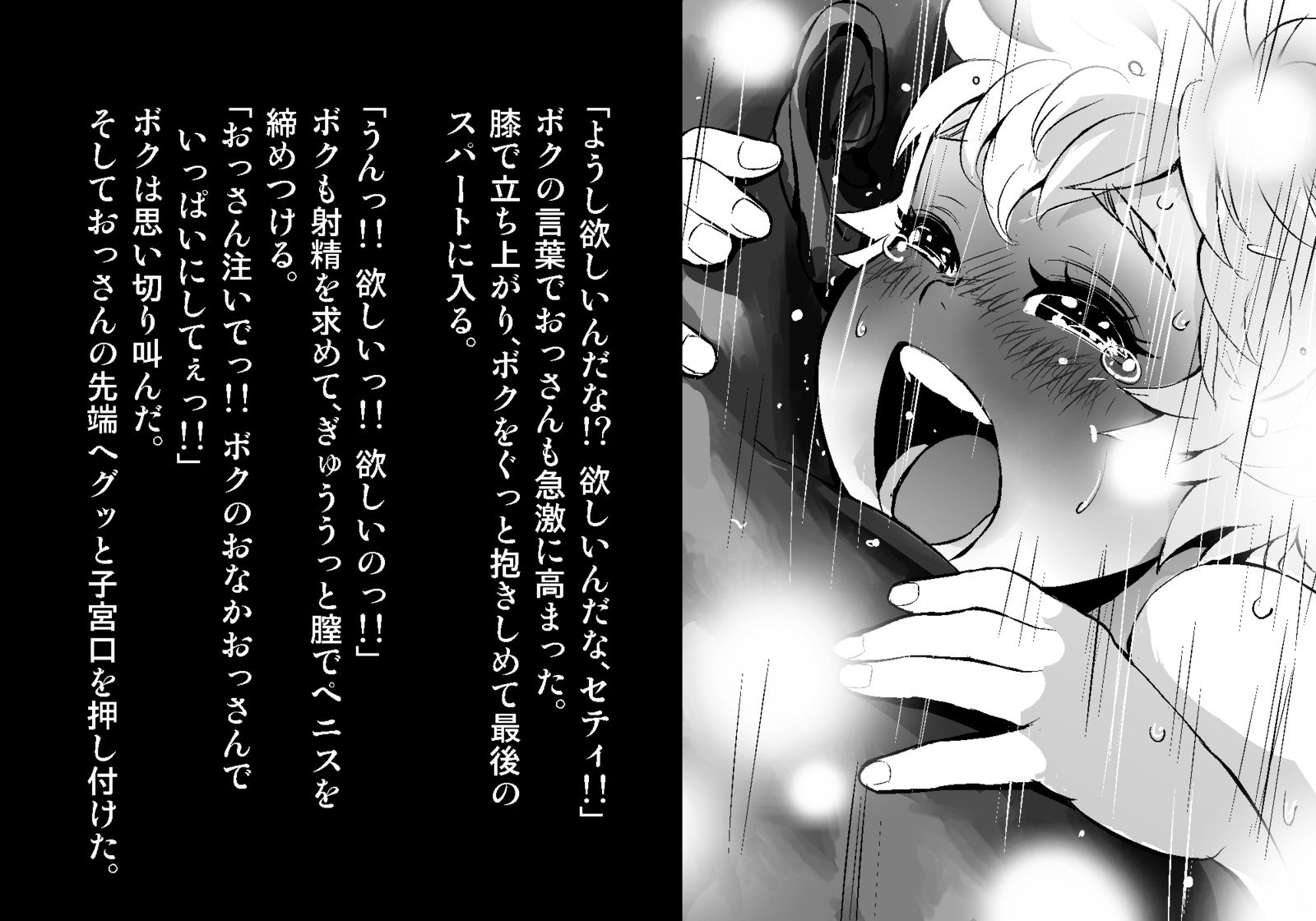 フェアリーセティ
