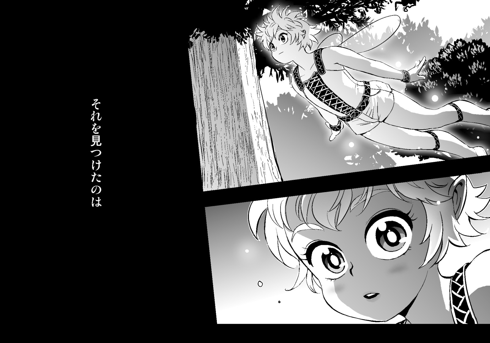 フェアリーセティ