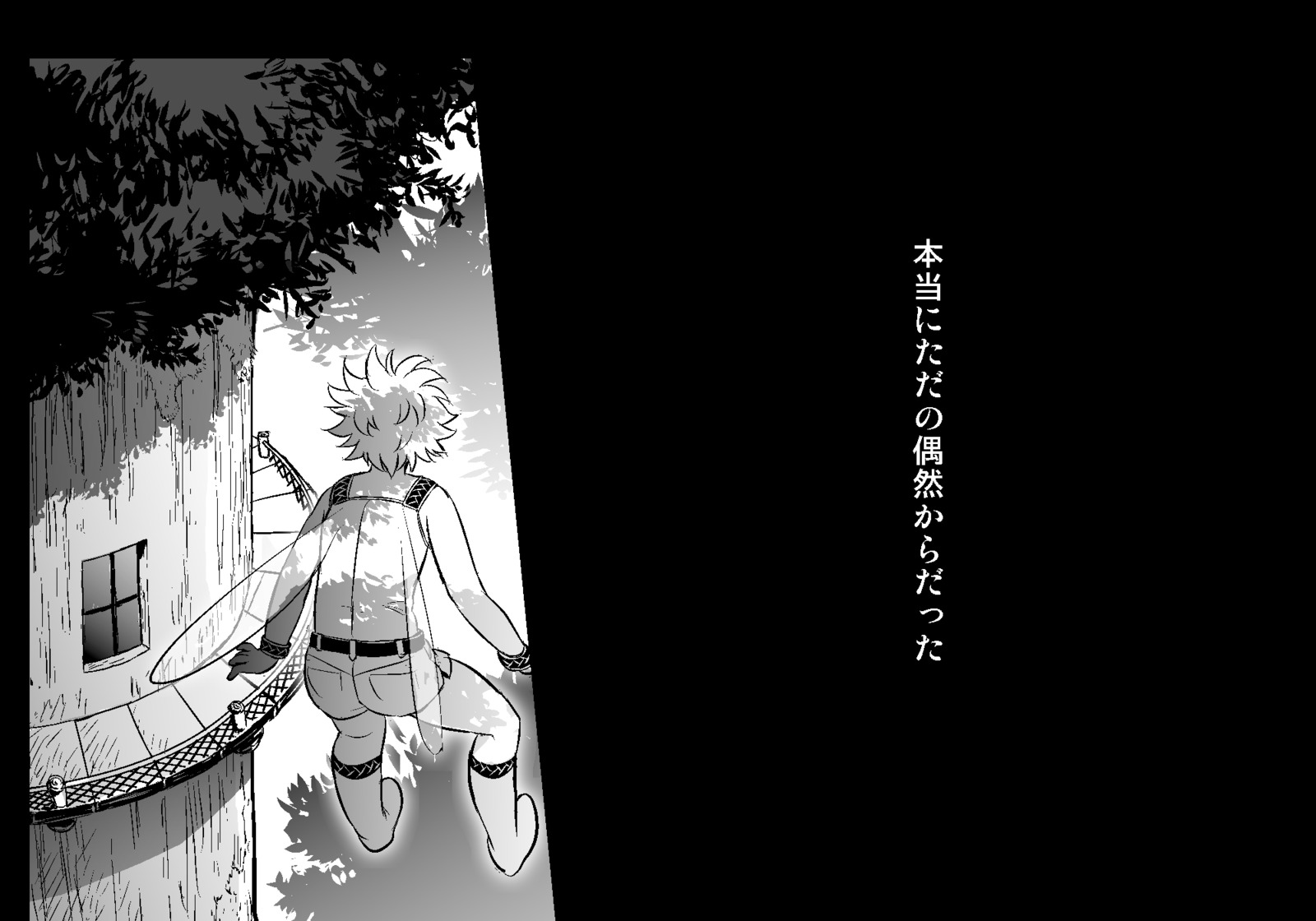 フェアリーセティ
