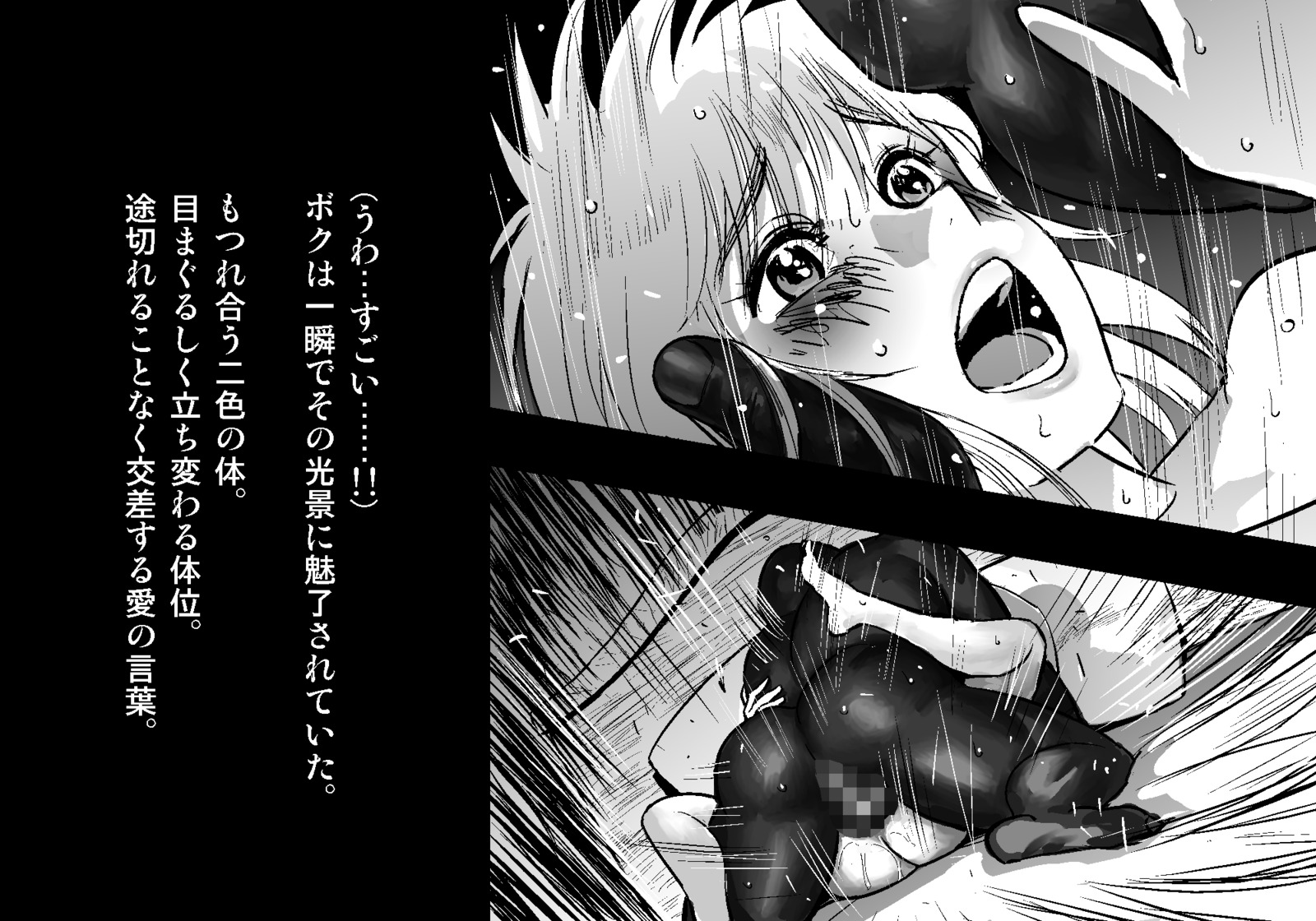 フェアリーセティ