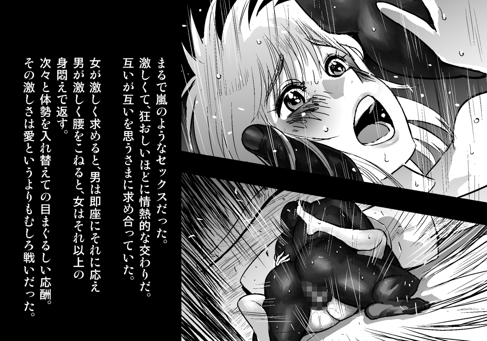 フェアリーセティ