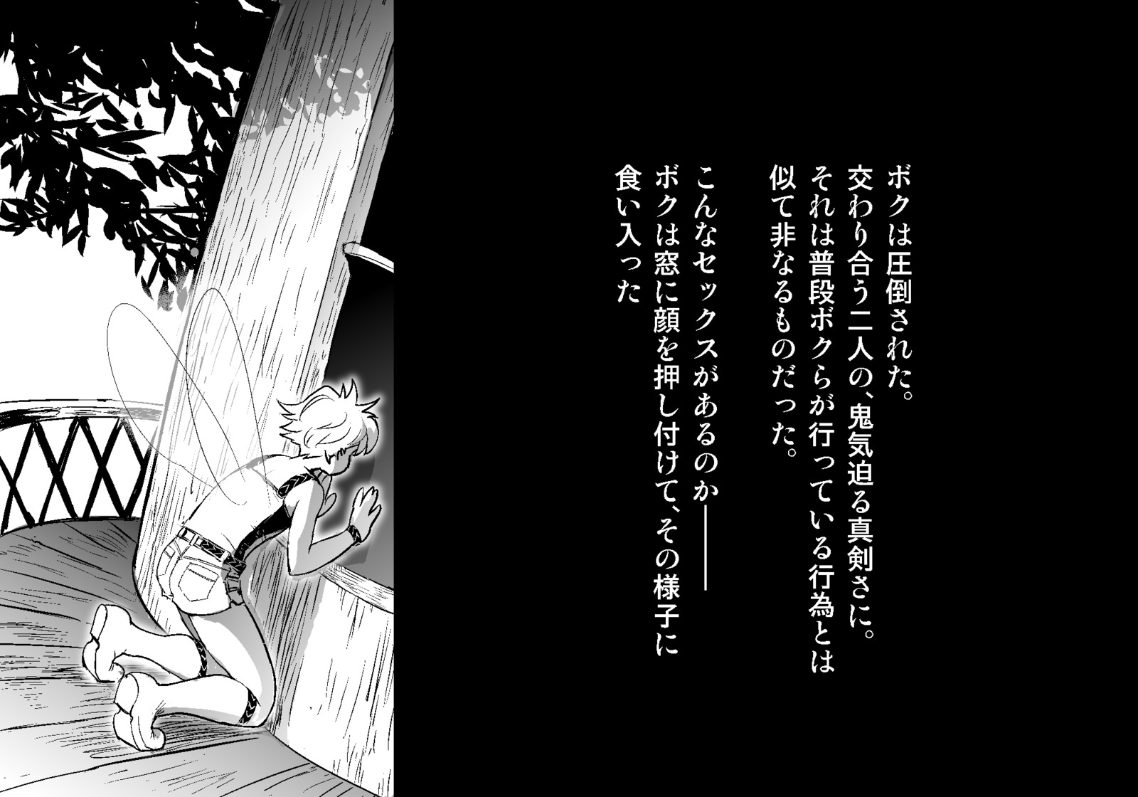フェアリーセティ