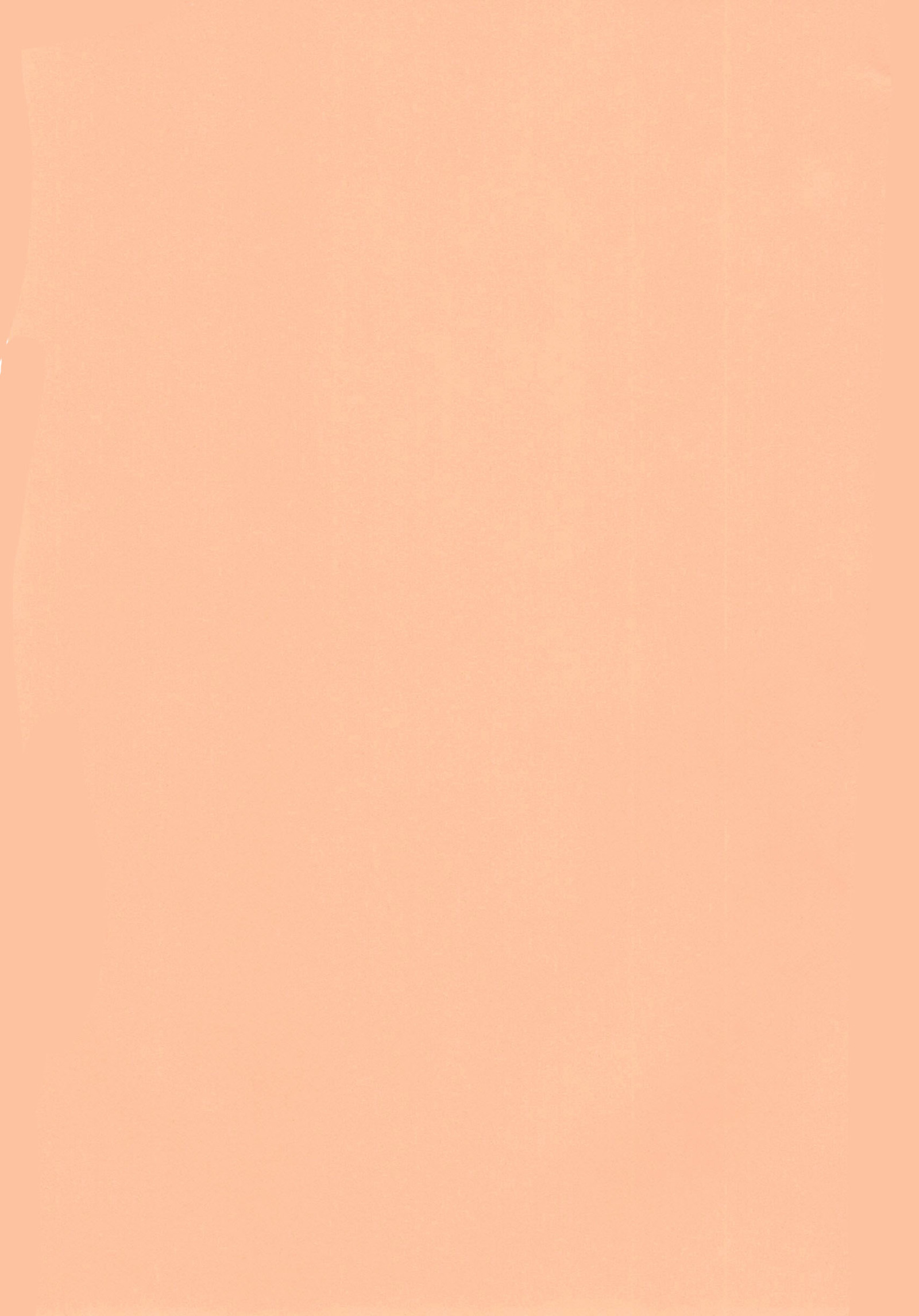 EeveeROlution 2