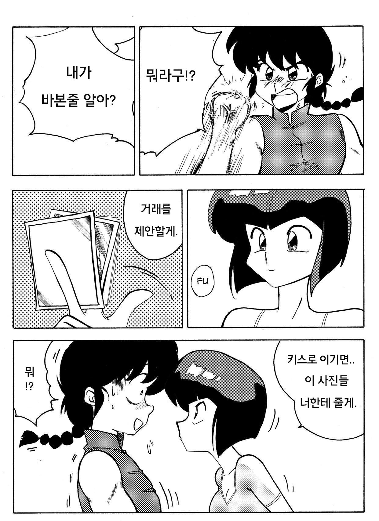 らんまの試み