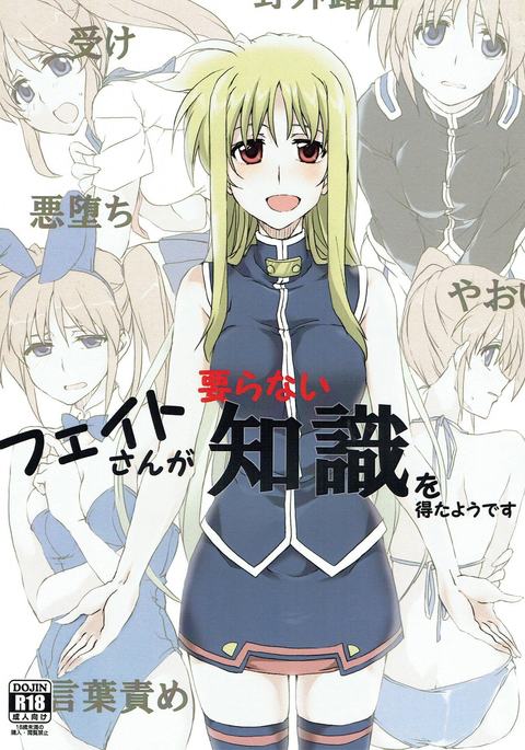 Fate-san ga Iranai Chishiki o Eta you desu Fate-san ga Iranai Chishiki o Eta you desu