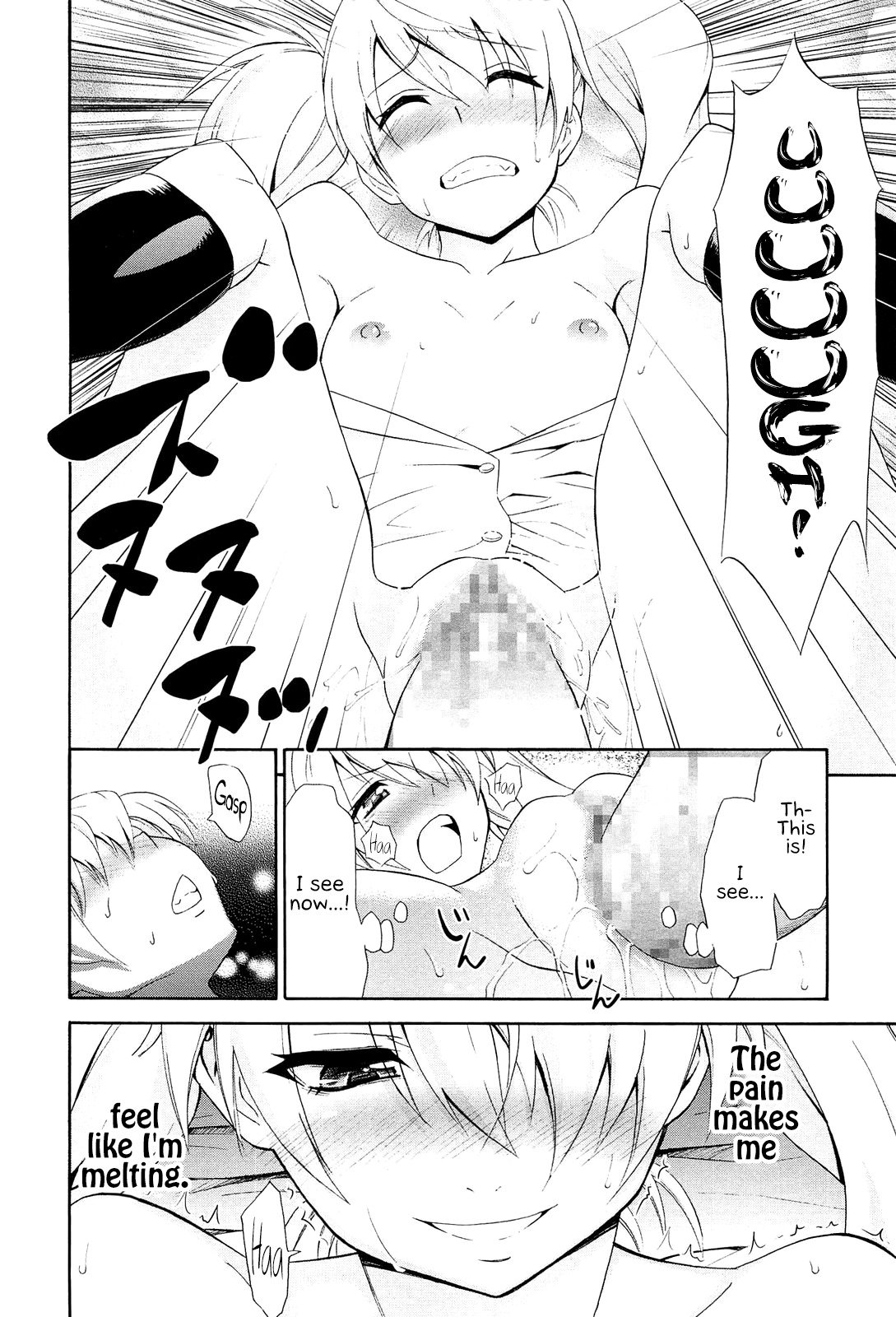 ラブバードプラン