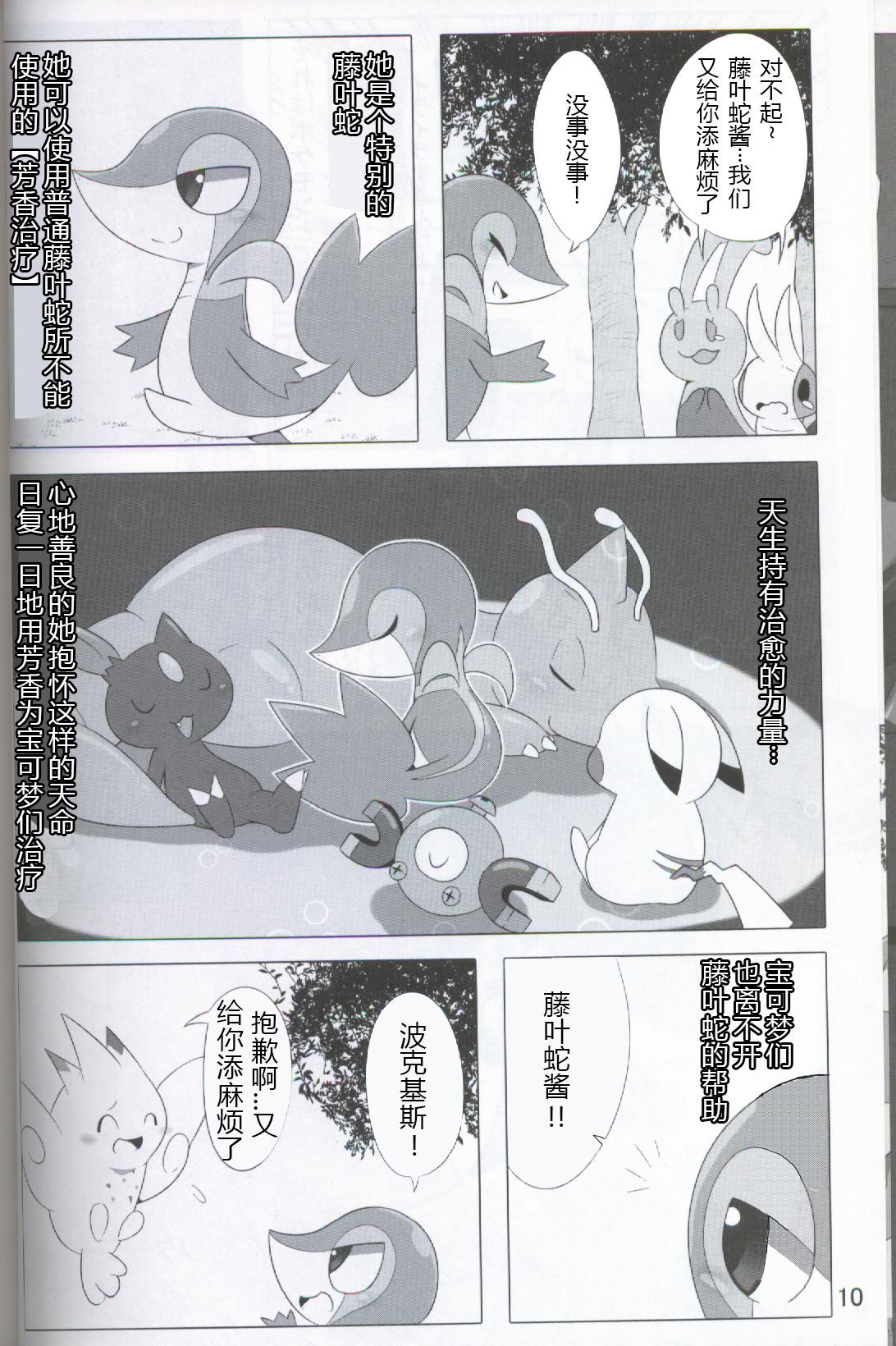 ポケダ|宝可堕