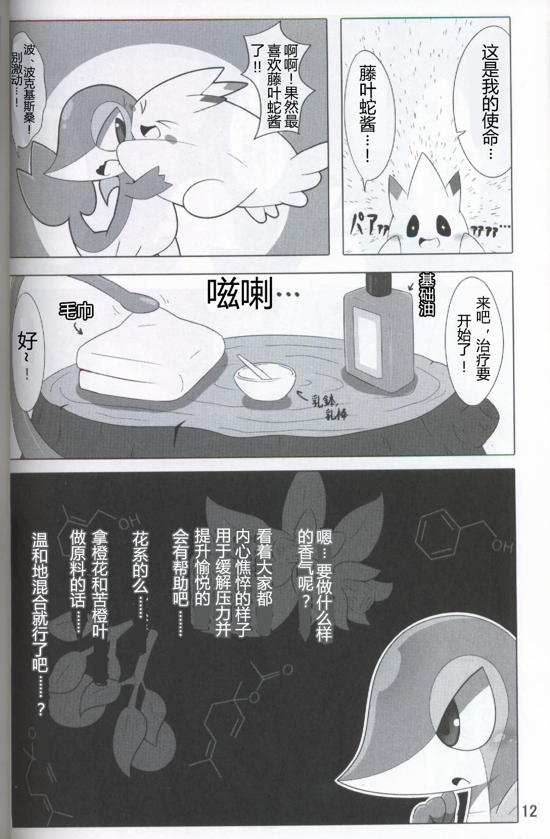 ポケダ|宝可堕