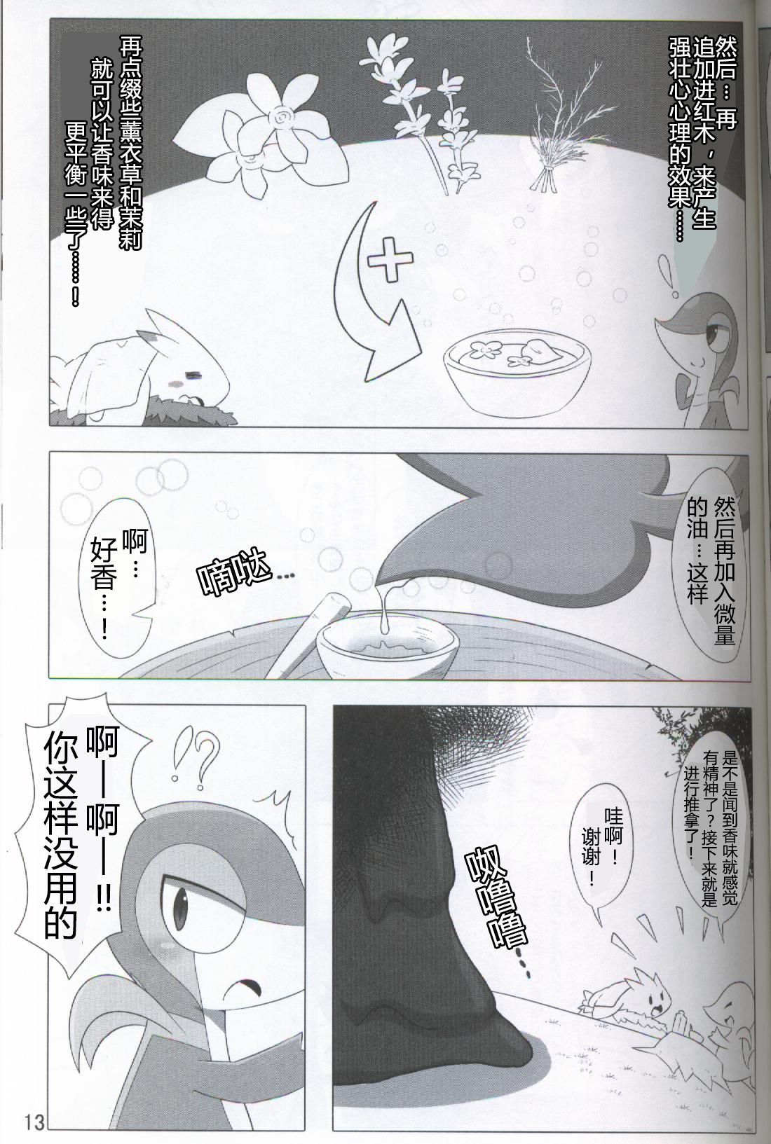 ポケダ|宝可堕