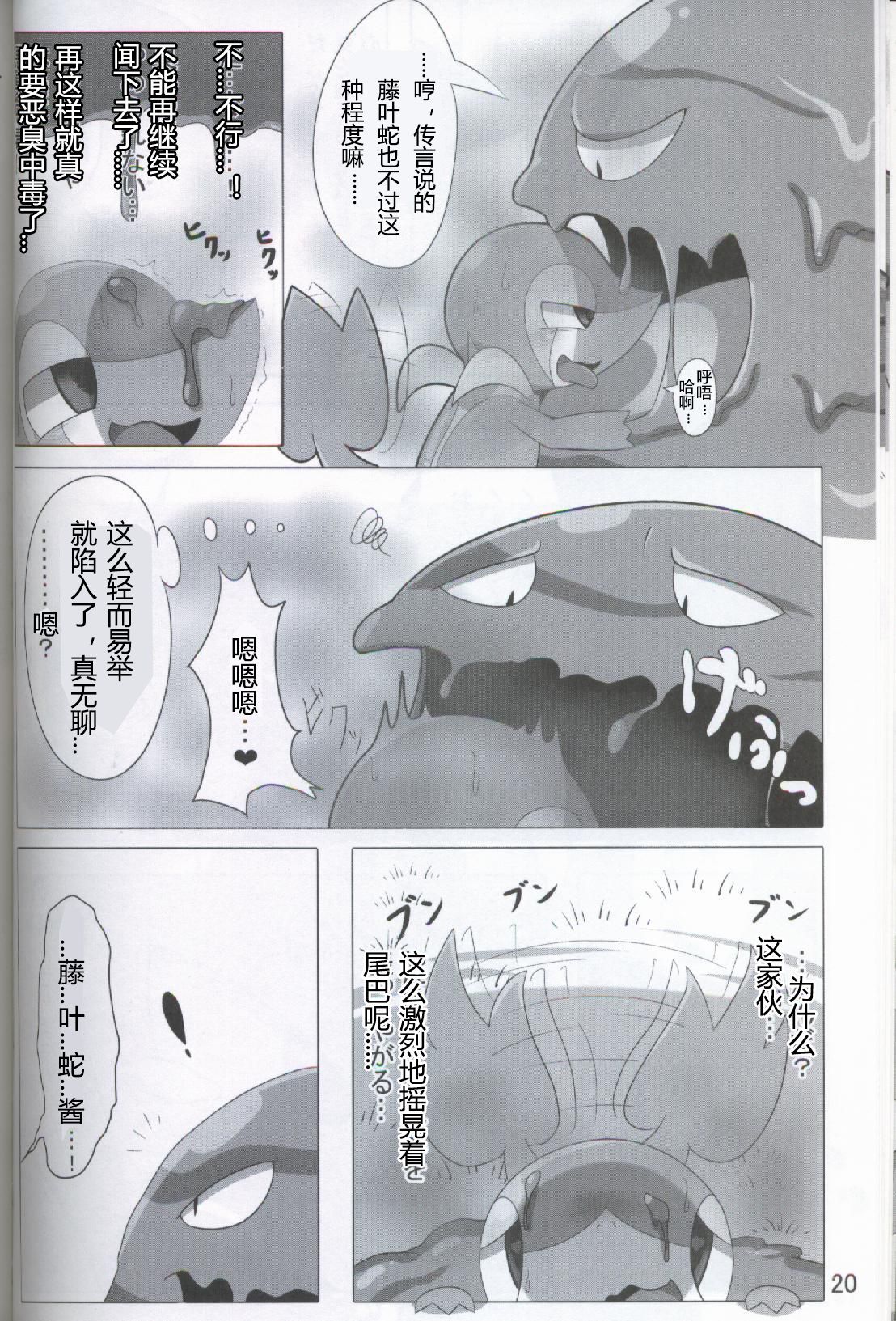 ポケダ|宝可堕
