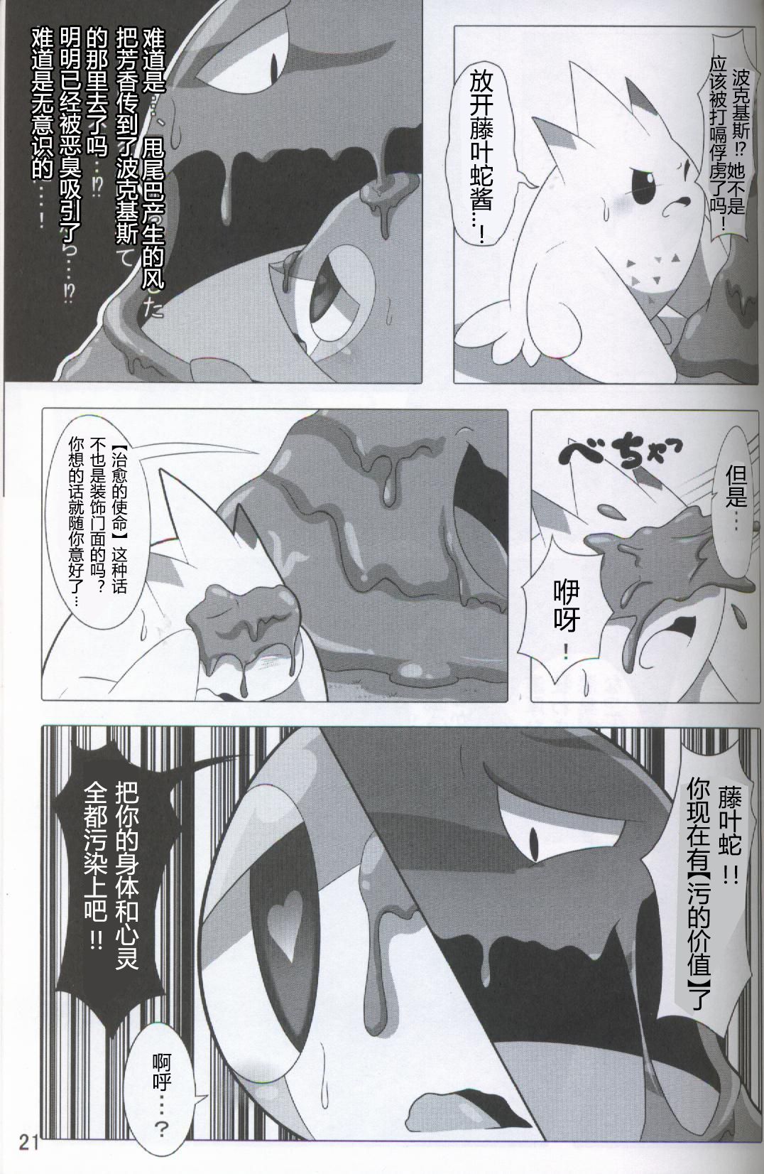 ポケダ|宝可堕