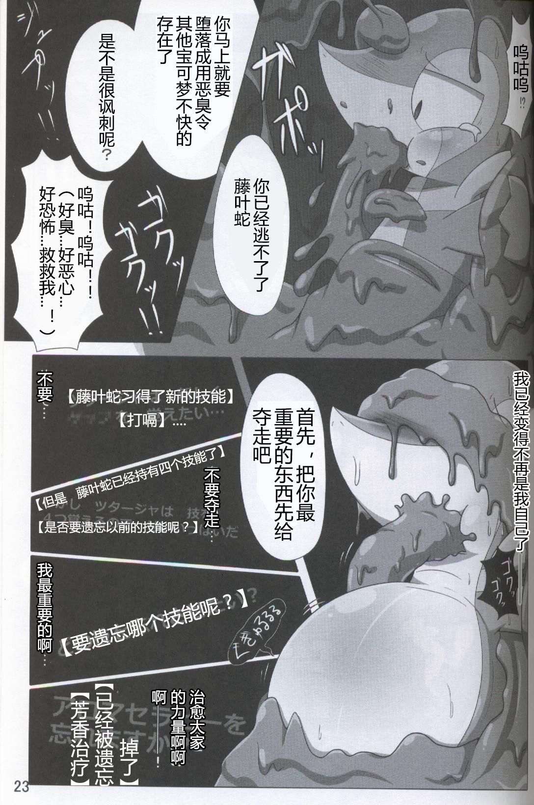 ポケダ|宝可堕