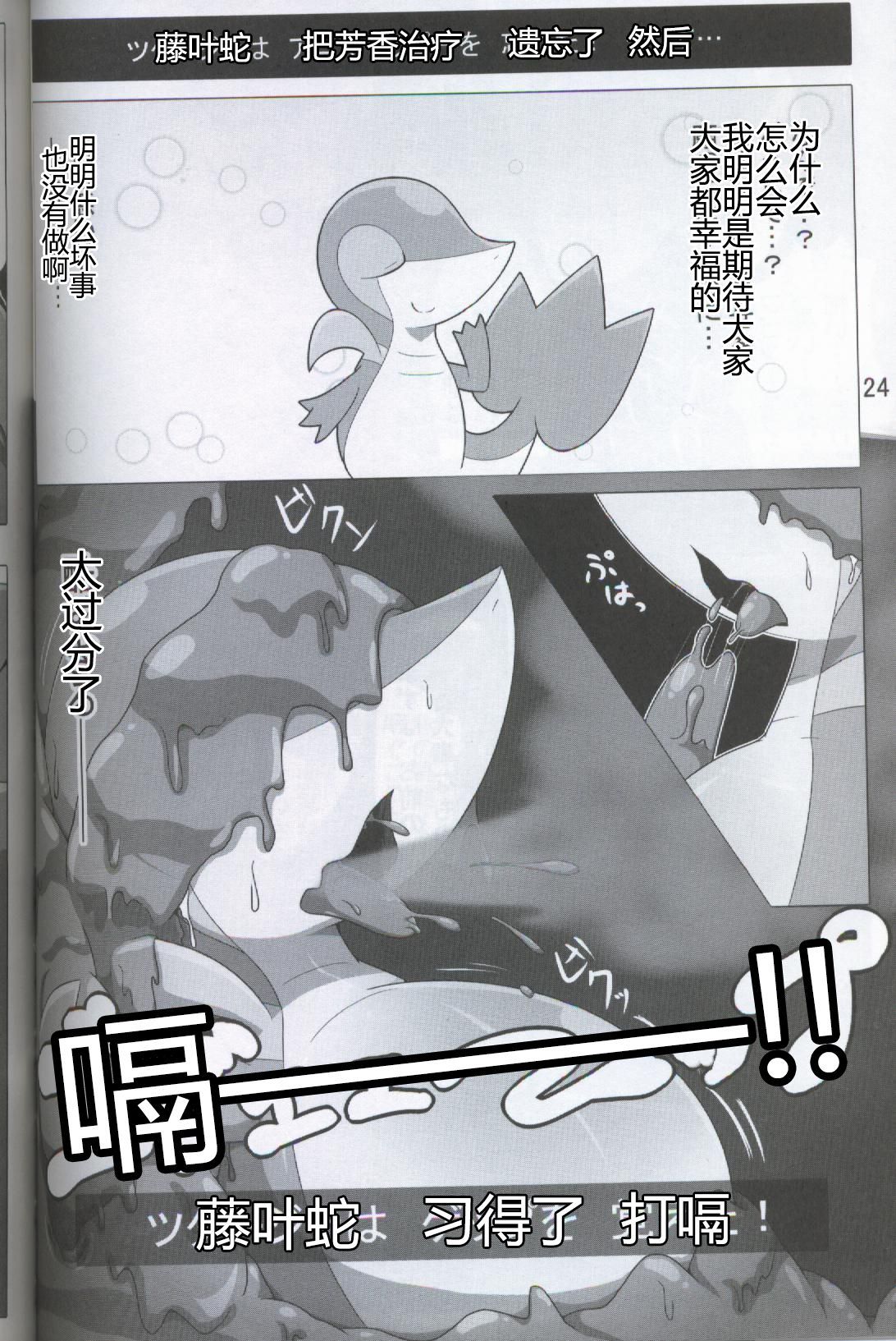 ポケダ|宝可堕