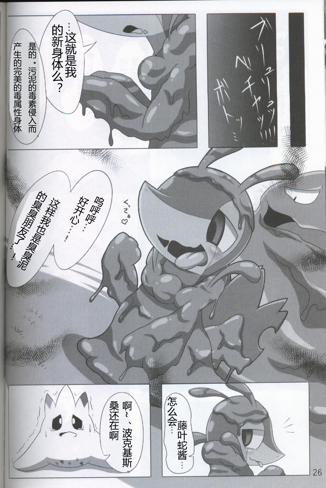 ポケダ|宝可堕
