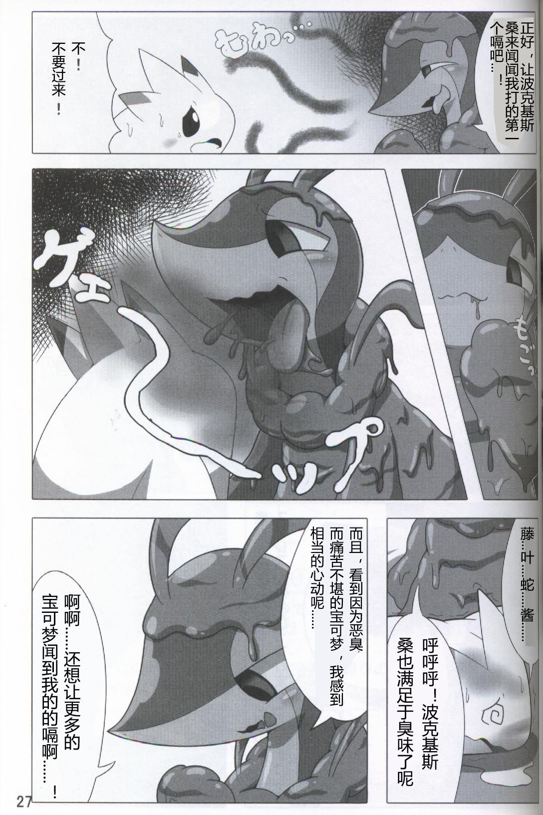 ポケダ|宝可堕