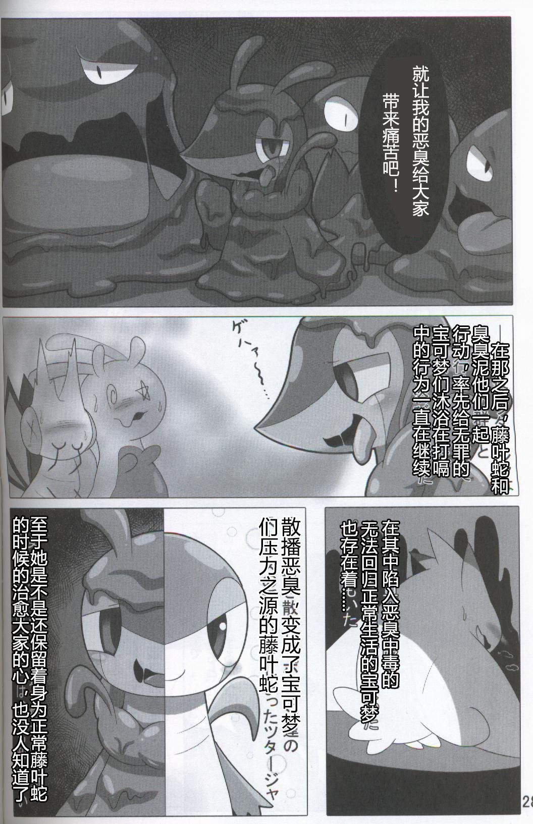 ポケダ|宝可堕