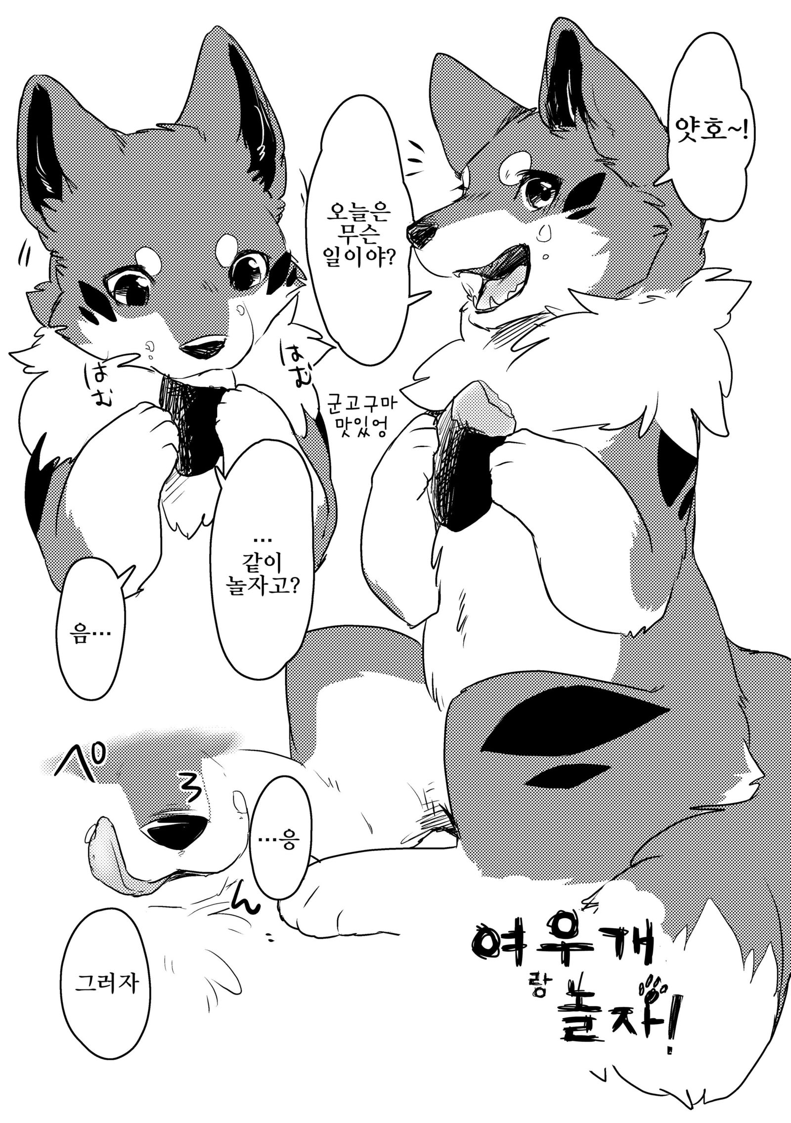 キツネ犬とあそぼ！ | 여우개랑놀자！