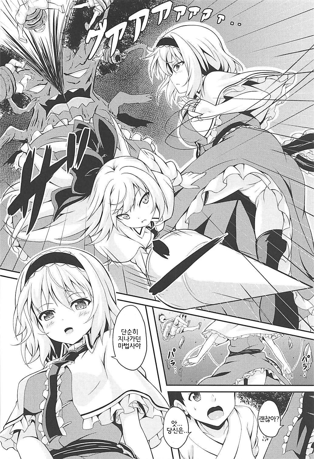 RAIDクリップアリス