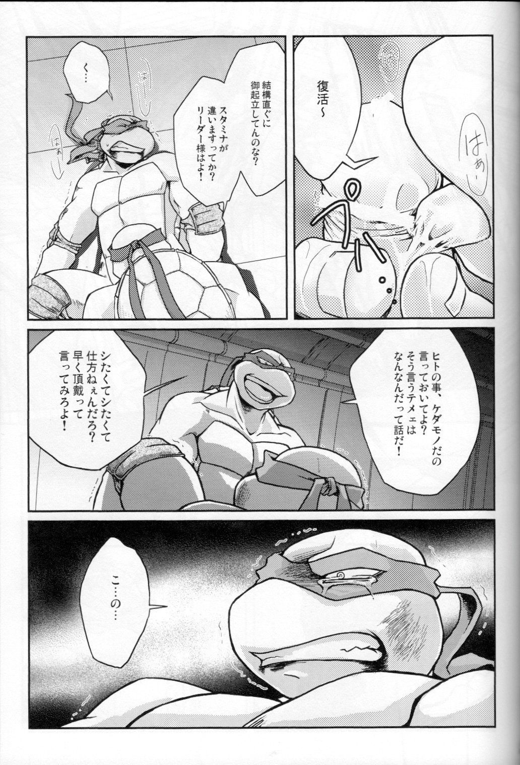 ファレン-ラフvsレオ-10代ミュータントニンジャタートルズ、TMNT同人誌