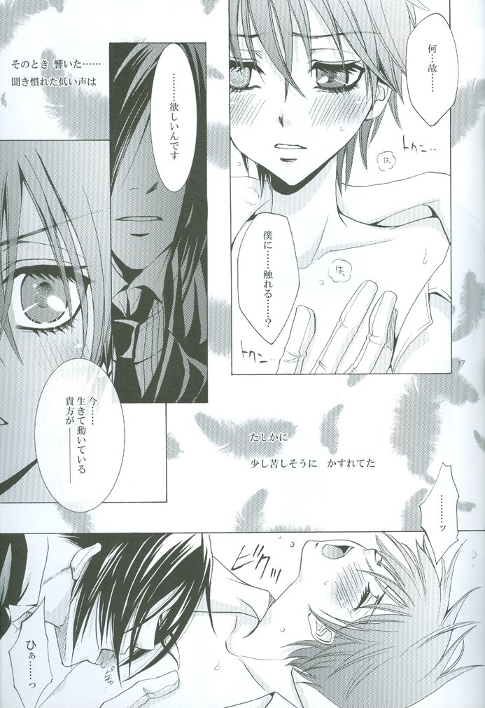 ナイトマレノトリコ