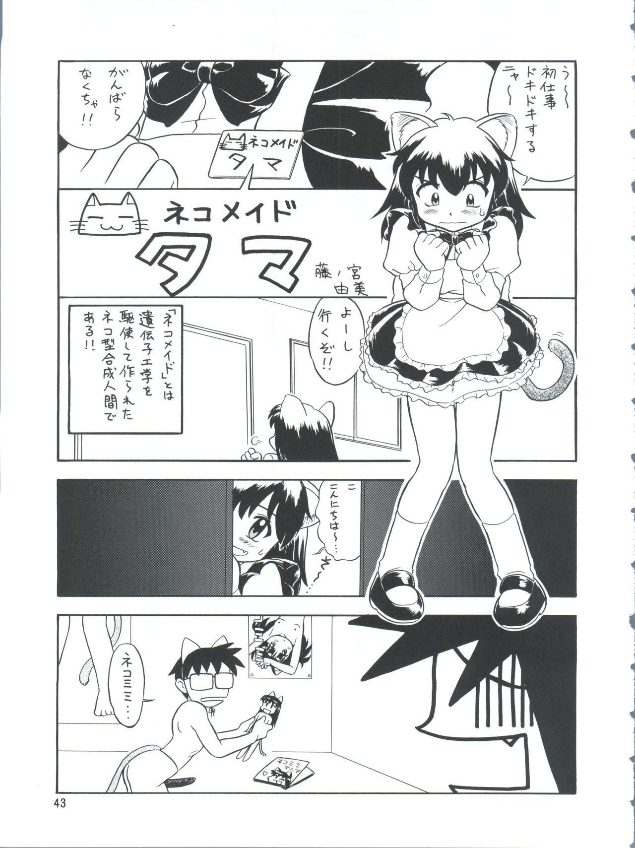 PLUS-YVol。 26