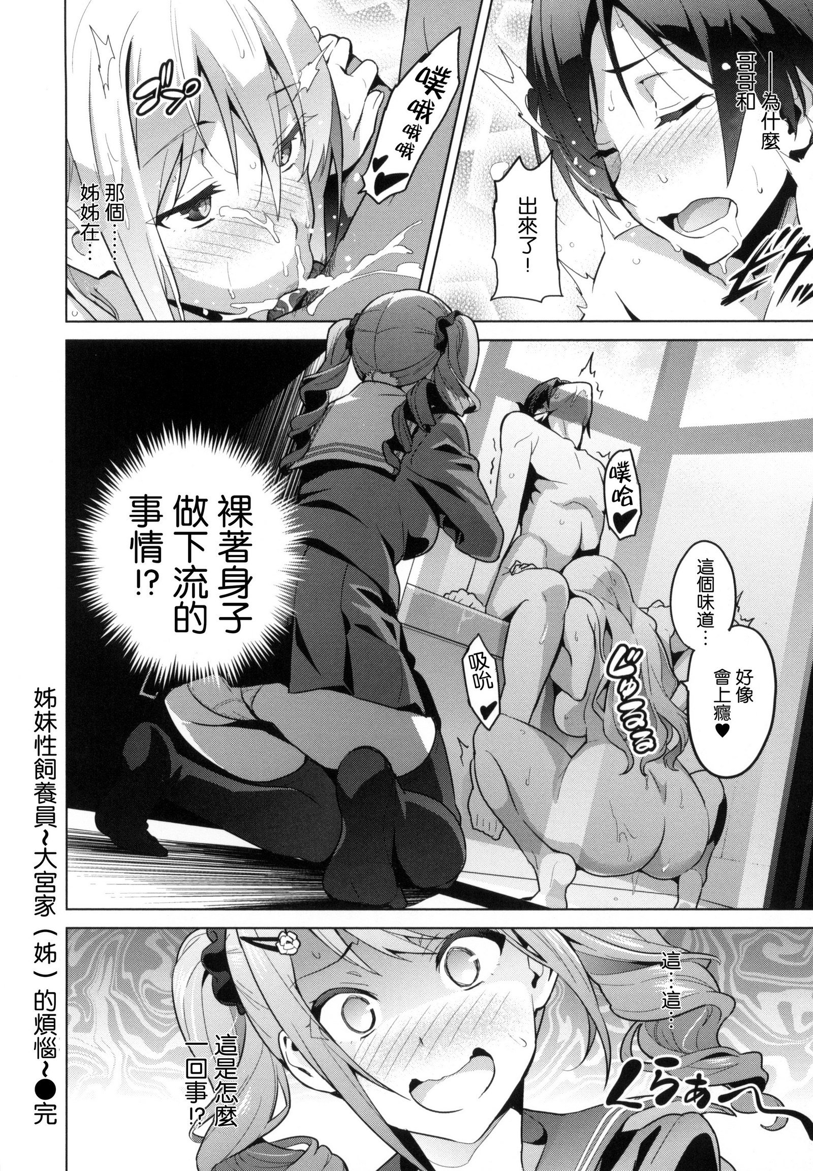 シスターブリーダー
