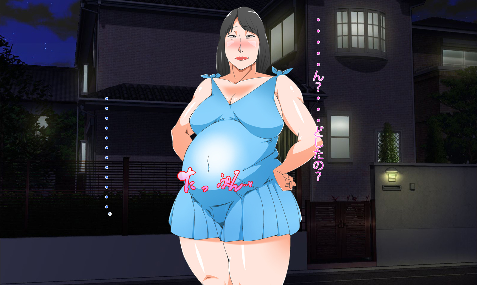 妊娠中のステップ姉と浮気セックスを始める
