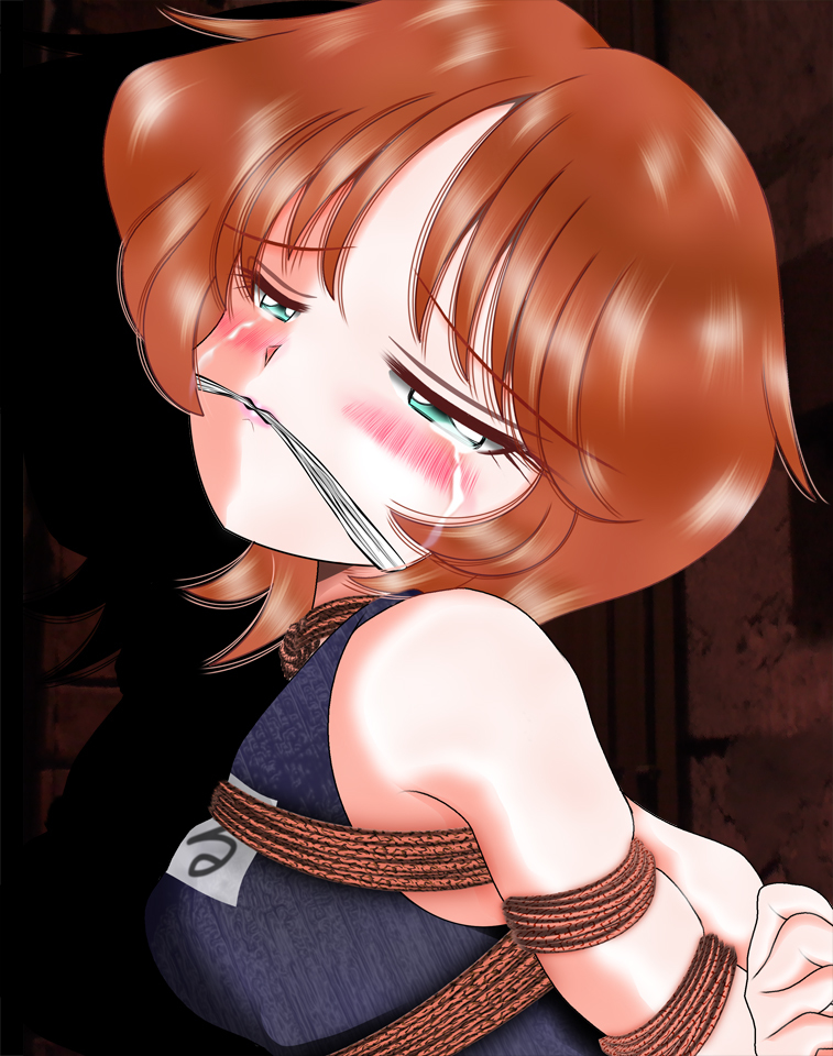 舶来少女シリーズ