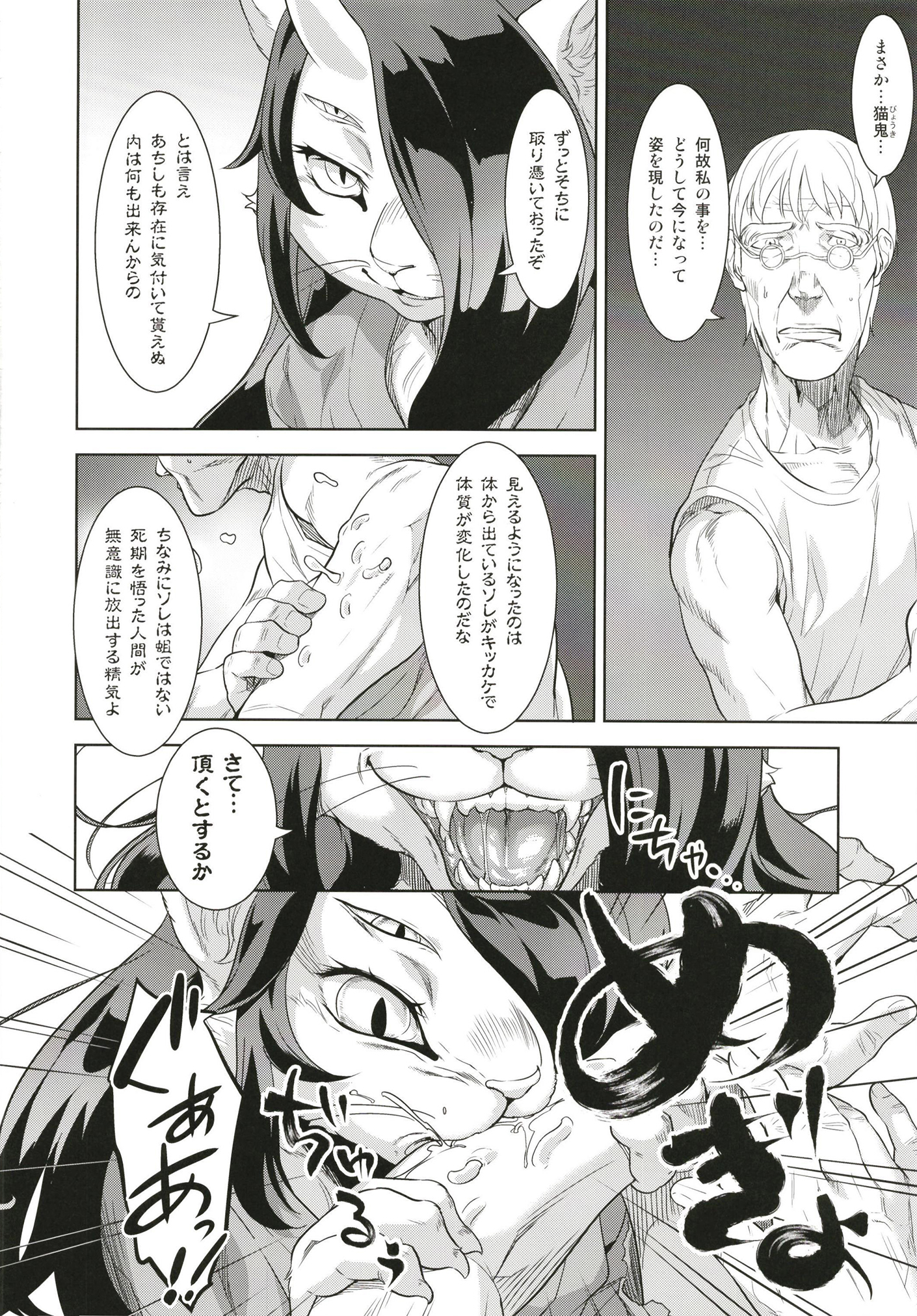 猫が北儀 猫が北儀