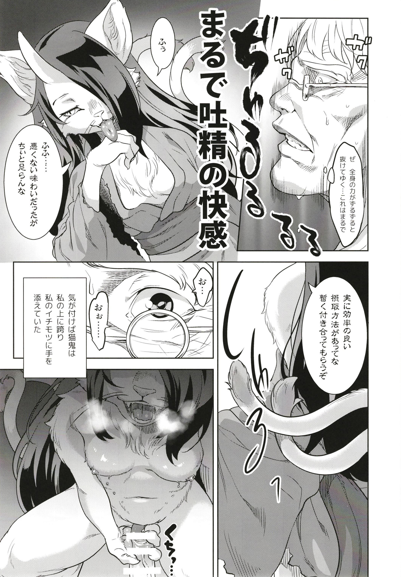猫が北儀 猫が北儀