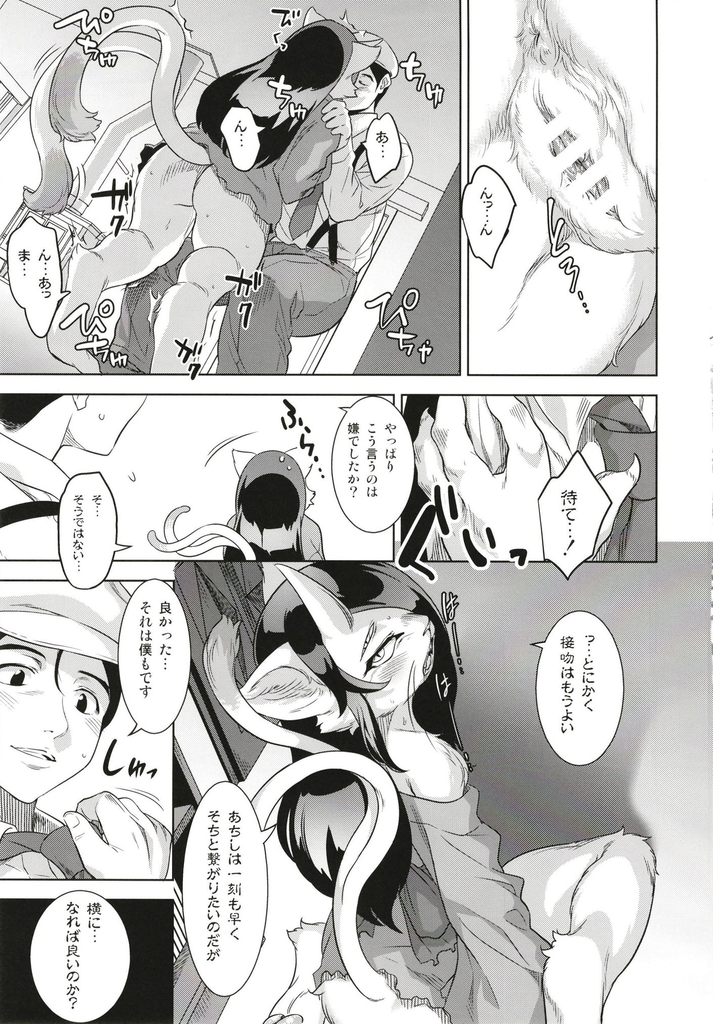 猫が北儀 猫が北儀