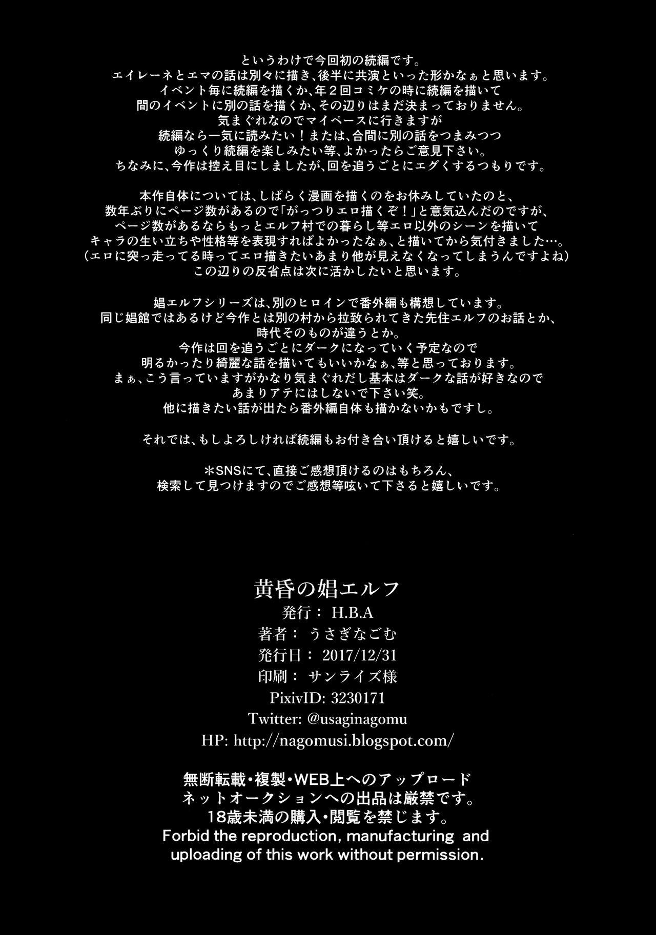 たそがれの翔エルフ