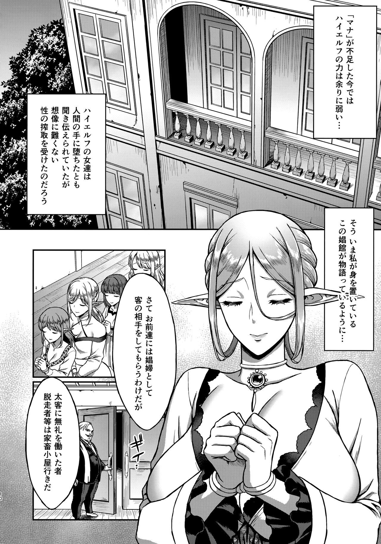 たそがれの翔エルフ