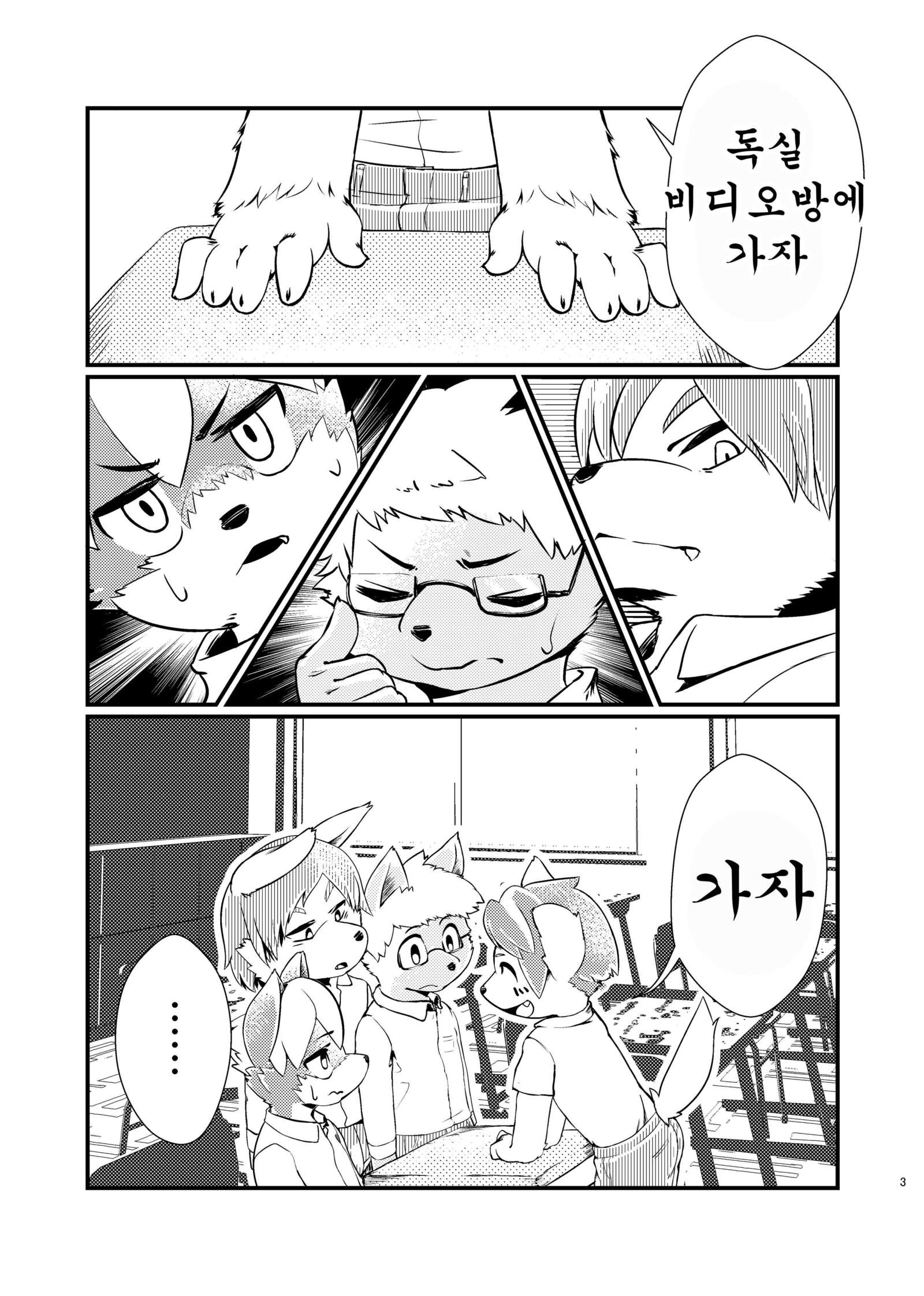 個室ビデオの本