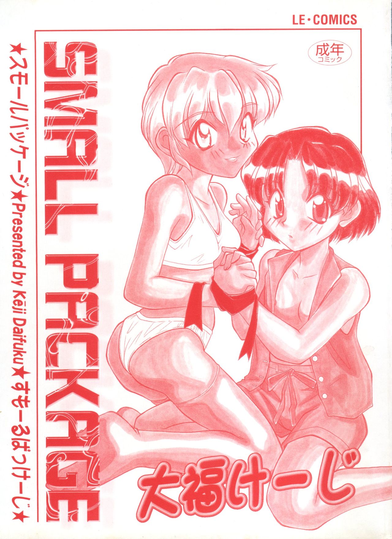 小さなパッケージ