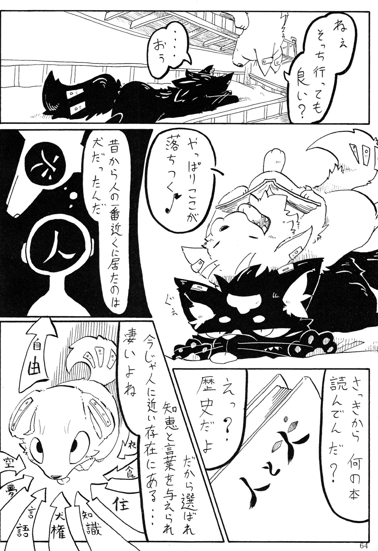 KTQ 5
