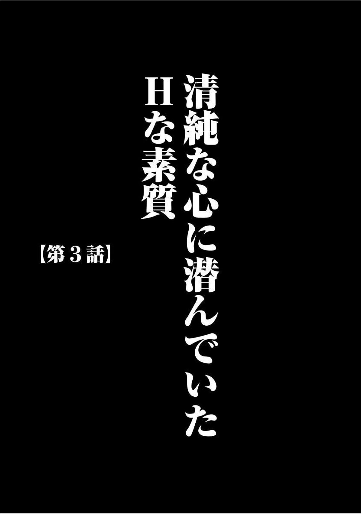 ヴァージントレインズ【かんぜんばん】