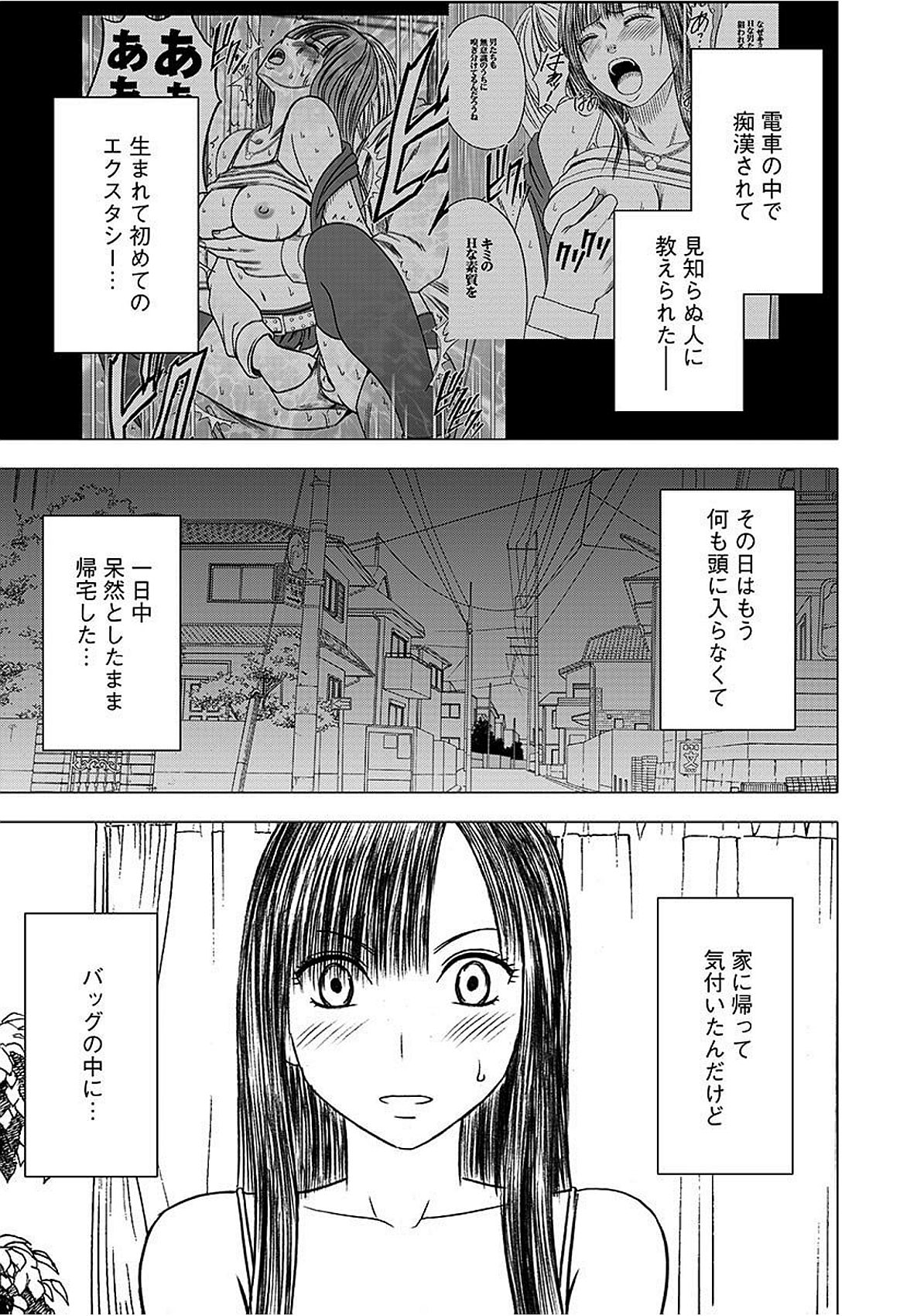 ヴァージントレインズ【かんぜんばん】
