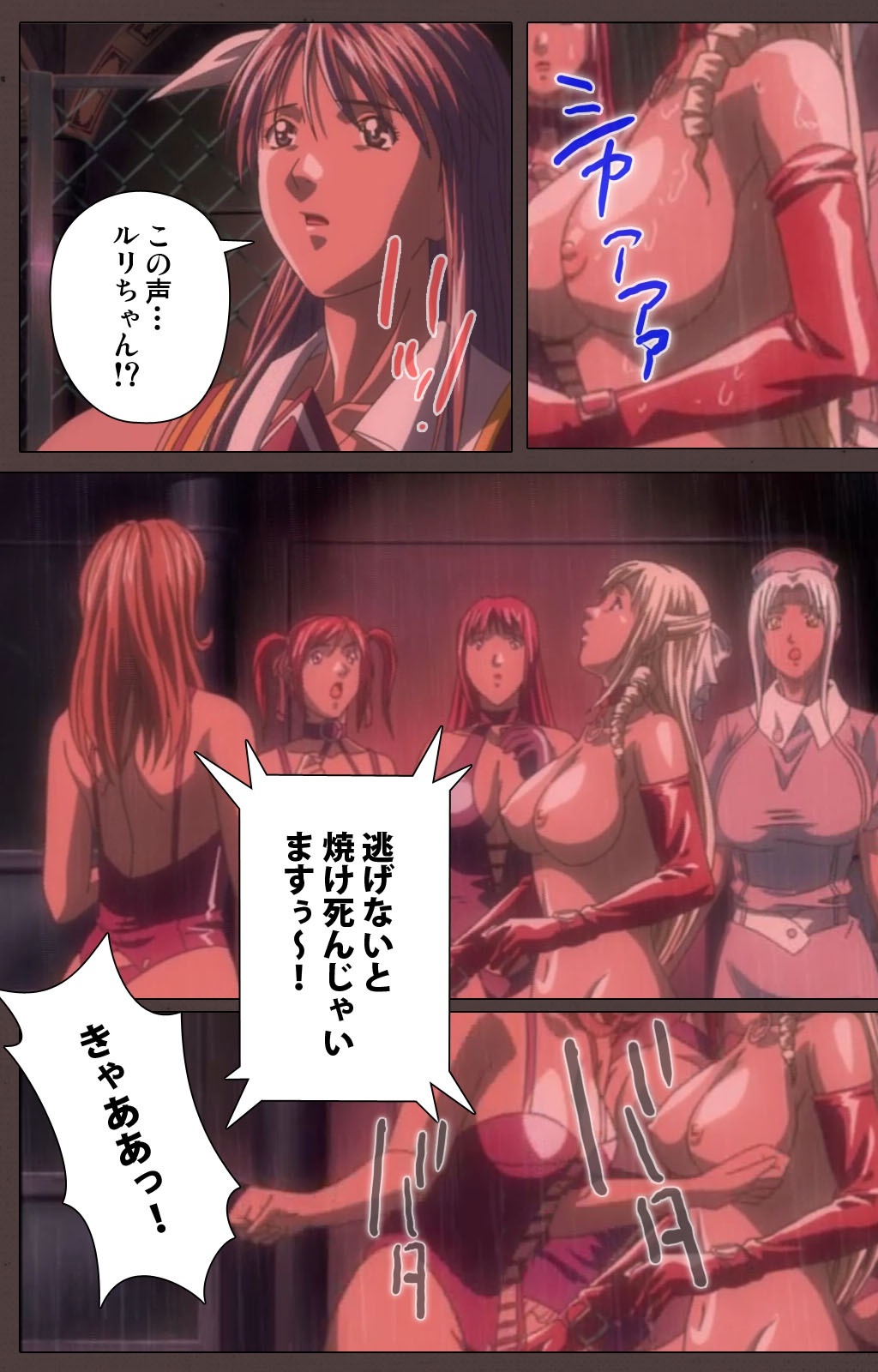しつけ大三所完全禁止