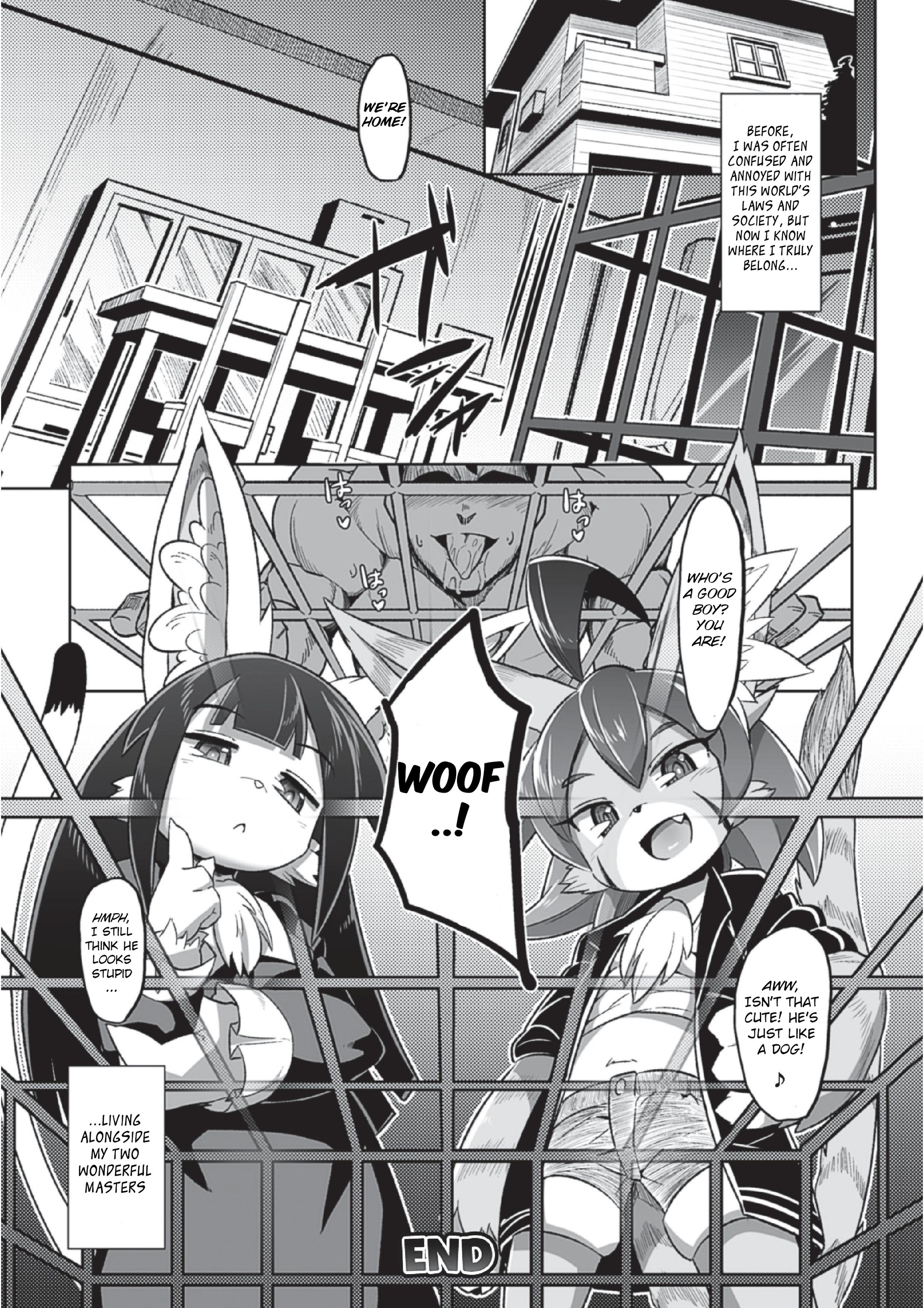 ただしい猫の川レカタ