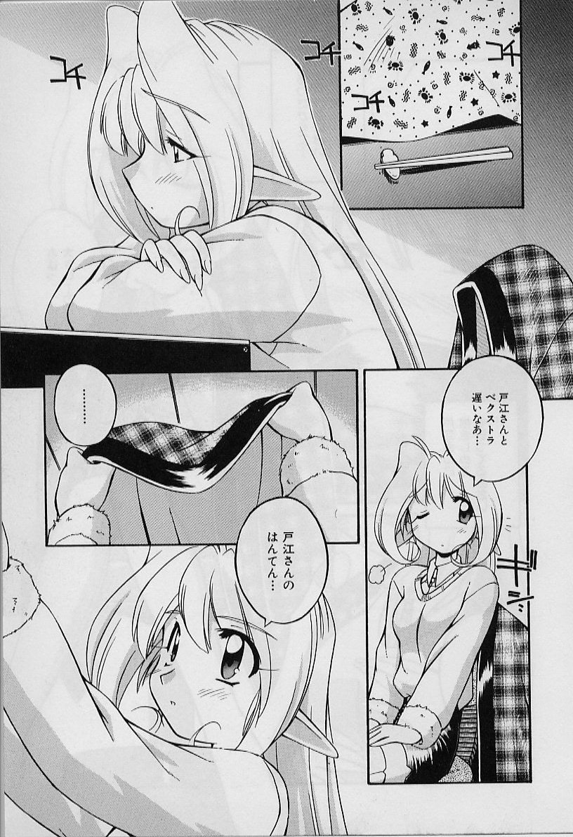 聖デモニッシュナイト