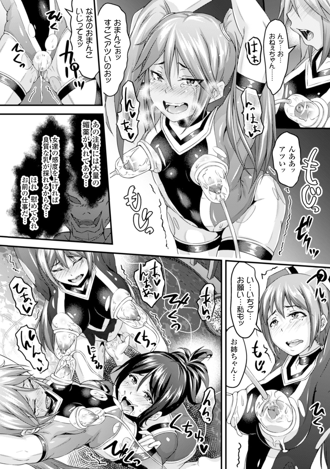 聖霊のヒロインカチク僕じょうVol。 2