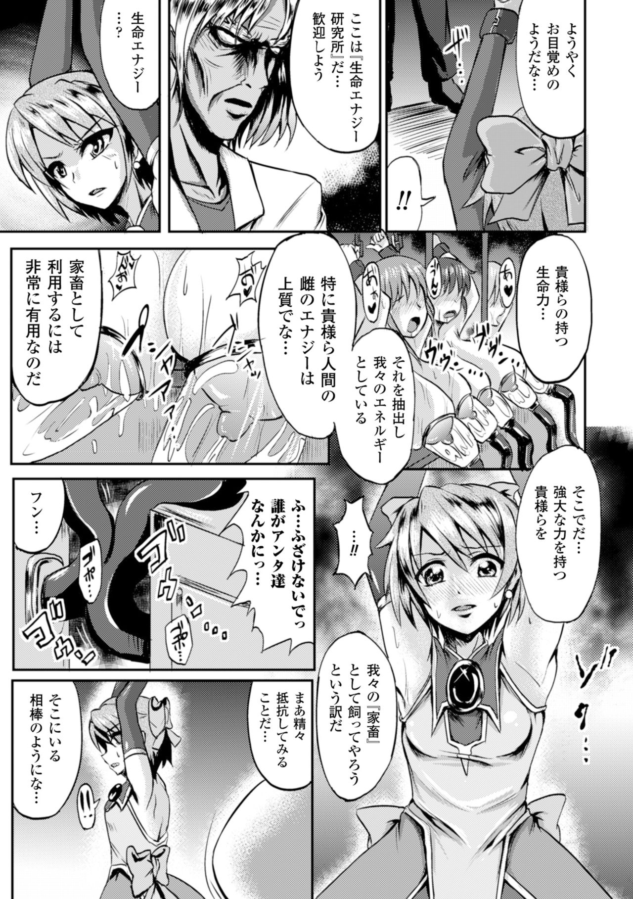 聖霊のヒロインカチク僕じょうVol。 2