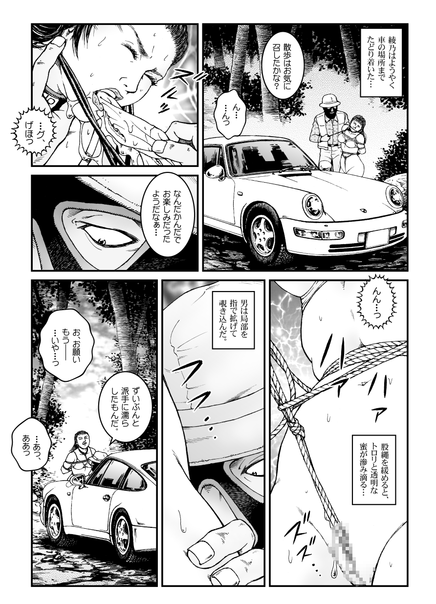 ヨクボウカイキダイ500-]バケーション_カージャッキ*ワリオキタンジョハンシオキジン*ふしゃちょうウェルブレッドヤングレディー_